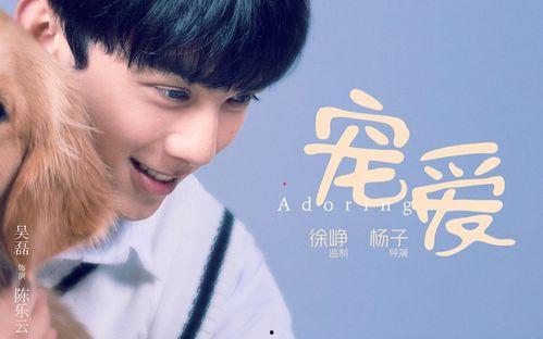 在线观看宠爱电影,温情治愈，宠物与主人间的感人故事  第3张